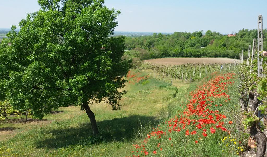 Agriturismo La Torretta Da Valentina Σολφερίνο Εξωτερικό φωτογραφία
